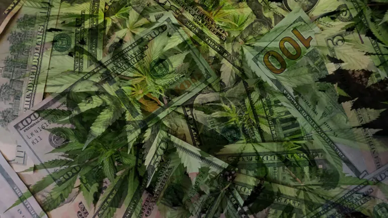 第三方合规认证或为大麻现金安全入行提供可行路径
